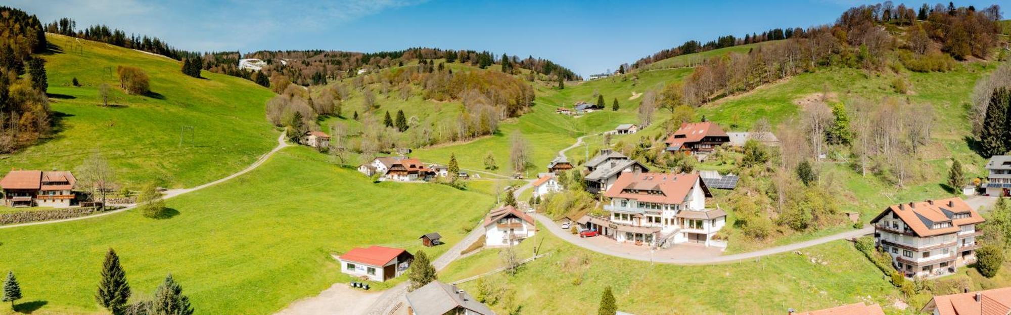 Schwarzwald Hotel Wiedenerhof Exterior photo